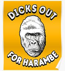 Dicks Out For Harambe T-Shirt Poster