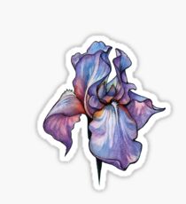 Iris Sticker