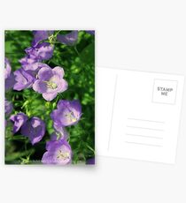 Summer Bliss II Postcards
