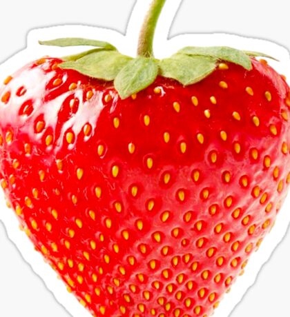 Strawberry: Stickers | Redbubble