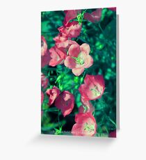 Summer Bliss Greeting Card