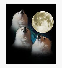 Gabe the Dog - Three Gabe Moon Photographic Print