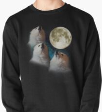 Gabe the Dog - Three Gabe Moon Pullover