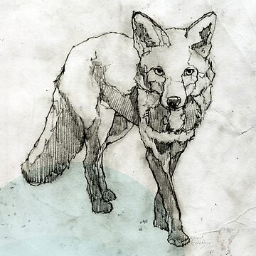 Vorschaubild zum Design Fuchs Zeichnung von ghostwillow
