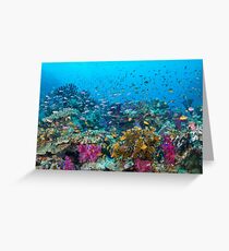 Fantasea Reef Greeting Card