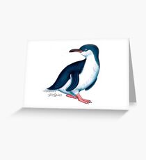 Little Penguin Greeting Card