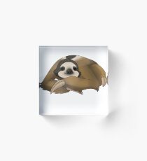 brown throated sloth Acrylic Block