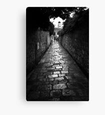 sirteT Canvas Print