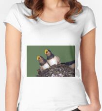 Baby Swallows Women's Fitted Scoop T-Shirt