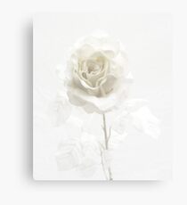 White on White Canvas Print