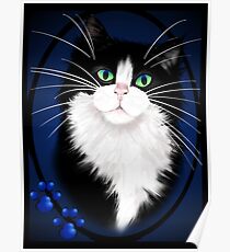 TUXEDO Poster