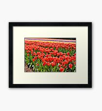 Red Red Red Framed Print