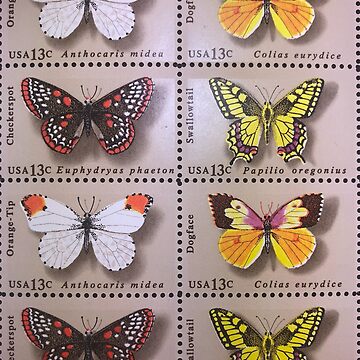 Butterfly Stamp Sheet, 50 Stamps, 13 Cent US Postage Stamps, 1977, Dogface,  Swallowtail, Orange-tip, Checkerspot 