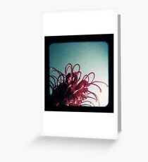 sameoldpatterns Greeting Card