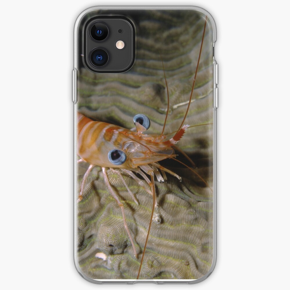 Prawn Portrait iPhone Soft Case