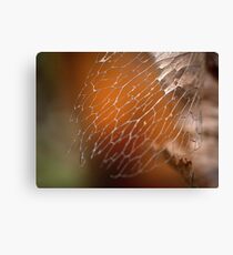 Tracery Canvas Print