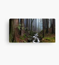 Misty Forest Stream Canvas Print