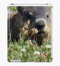 Groundhog, Montreal iPad Case/Skin
