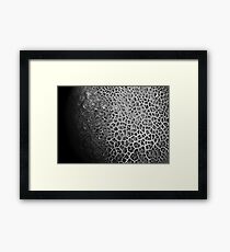 "Global Network" (Mushroom Cap) Framed Print
