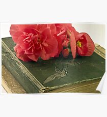 Begonias On Vintage Books Poster