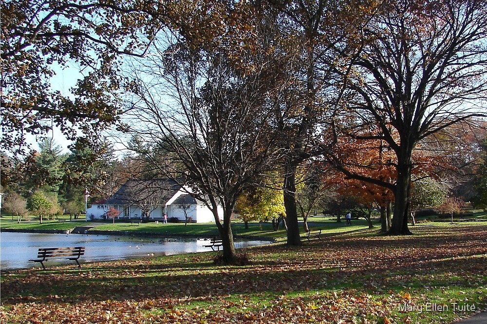 "Hoopes Park and Pond, Auburn, New York" by Mary Ellen Tuite Redbubble