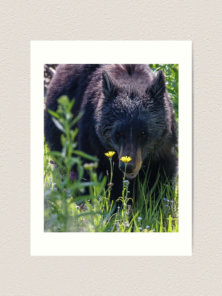 Alternate view of Protective Mother Art Print