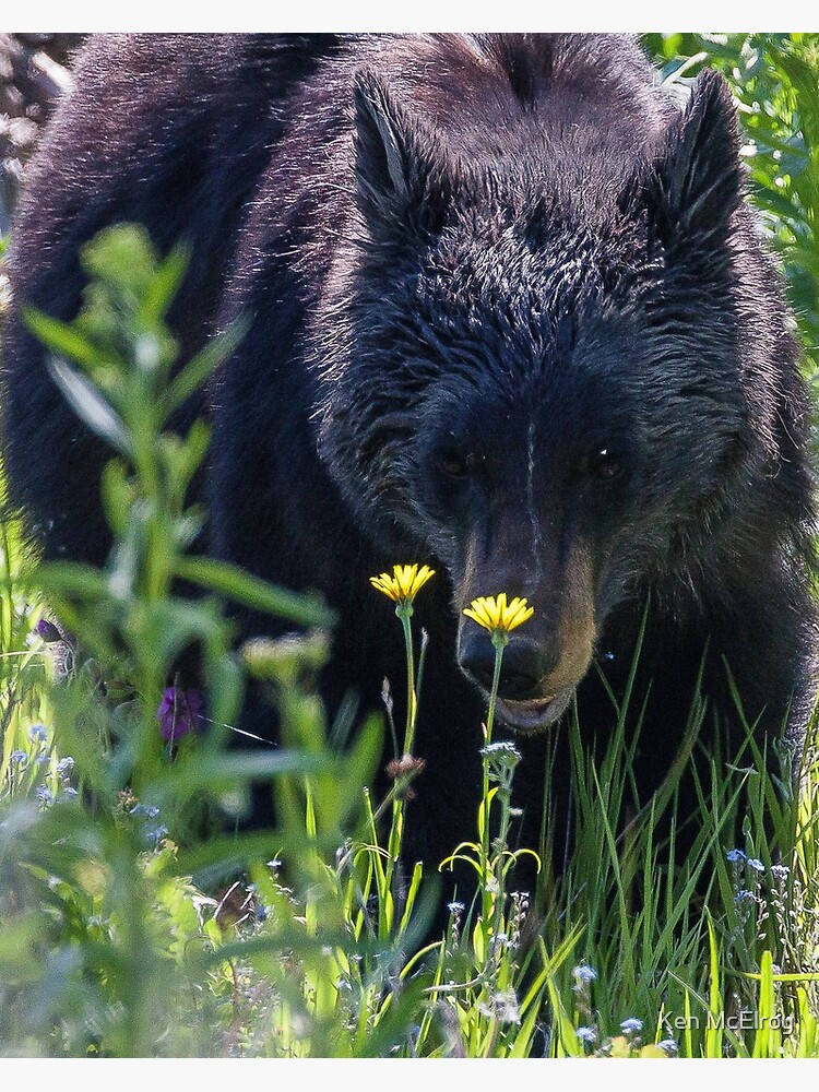 Protective Mother by mcvette