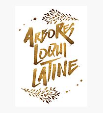 the trees speak latin Photographic Print