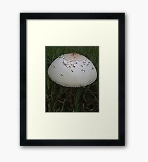 Cap Framed Print
