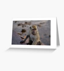 Curious George Greeting Card