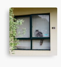 neighbourhood watch is for pussies Canvas Print