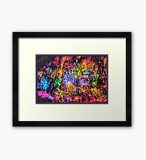 Electric Forest 2016 Framed Print