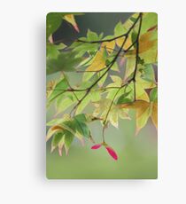 Patterned leaves Canvas Print
