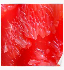 Grapefruit Poster