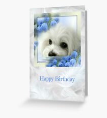 Hermes the Maltese Happy Birthday Greeting Card Greeting Card