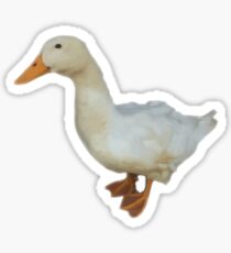 Duck Sticker