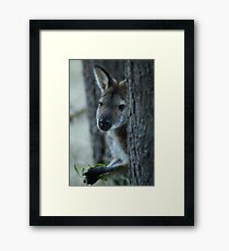 Lunch Time Framed Print