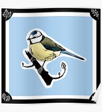 Lite tit