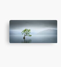 Solitude Canvas Print