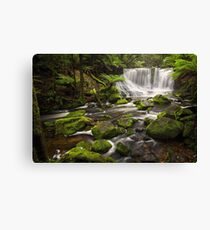 Horseshoe Falls, Mt Field, Tasmania Canvas Print
