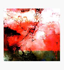 drops Photographic Print