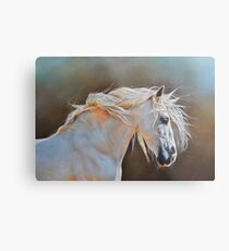 "Morning glow" Metal Print