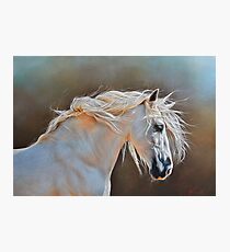 "Morning glow" Fotodruck