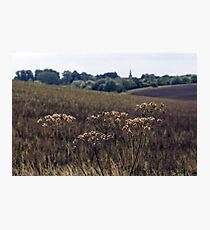 Peasemore Landscape Photographic Print
