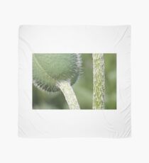hairy greens Scarf