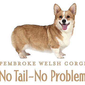  Epic Greeting Cards Single Pembroke Welsh Corgi on