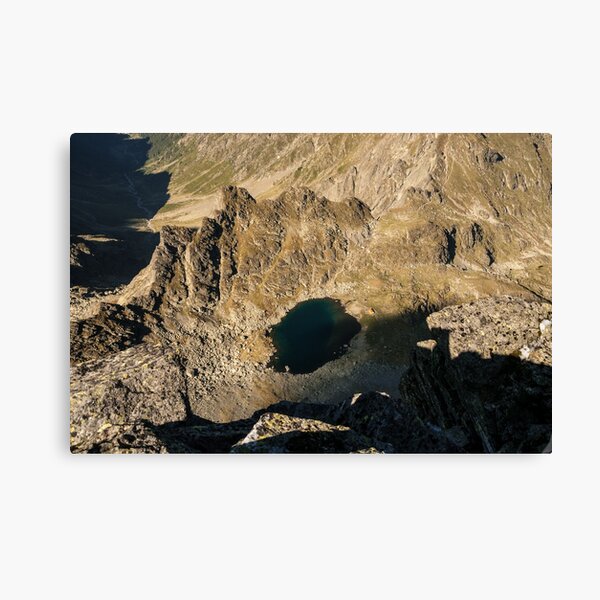 bird's eye Canvas Print