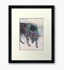 Journeying Spirit Framed Print
