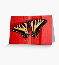 tiger swallowtail butterfly on unusual background Greeting Card
