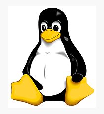 Linux Photographic Print